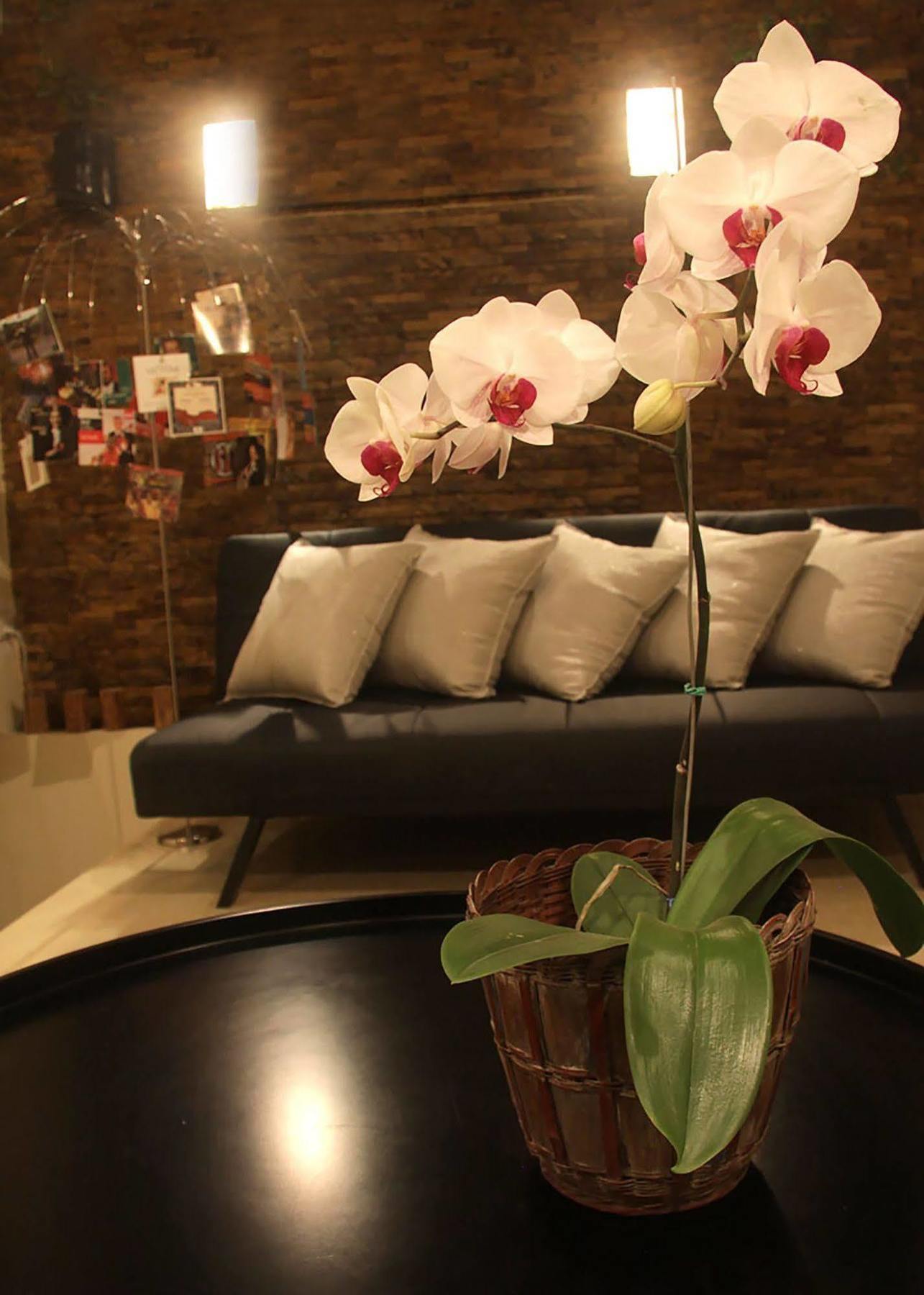 6 Suites Hotel Bogota Ngoại thất bức ảnh